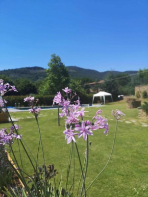 Alba Morus Bed e Breakfast sentiti a casa nel cuore della Toscana Arezzo